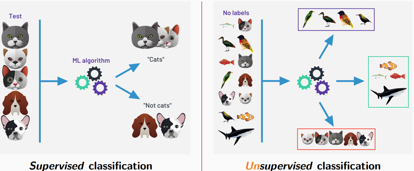 Statistics and Machine Learning - Classification